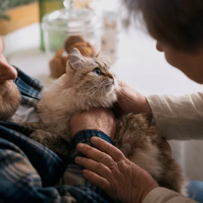 Comfortable licensed adult care home at Goshen Home Care Beaverton Oregon